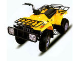 200CC, 250CC Air-Cooled Manual Clutch ATV with EPA Approval