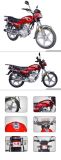 Motorcycle (Wuyang RY125-6)