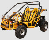 Water-Cooled, Double-Seat, Go Cart with EEC (ST650)