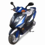Scooter (TS125T-15A) (EEC&DOT)