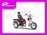 Handicapped Tricycle, 3 Wheels Tricycle (XF110ZH-5A)