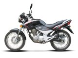 New Design SM250-3 Motorbike