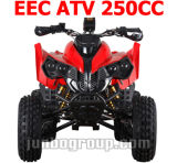 EEC 200cc / 250cc ATV / Quad with CE (DR772)