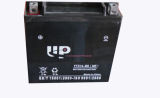 Factory Outlet! SMF Motorcycle Battery12V12ah (YTX14-BS)