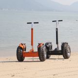 Two Wheels Electric Scooter Self Balance Electric Chariot Balancing Scooter