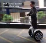 off Road Rolling Electric Scooter