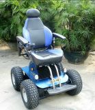 Disabled Electric Wheelchair's