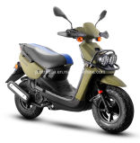 Professional Supplier of Popular Scooter (SP50QT-9)