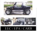 NEW 2009 GO KART-BUGGY 800CC EPA/CARB/EEC APPROVED