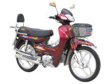 100CC Motorcycle (DF100-8)