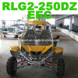 250CC Buggy EEC (RLG2-250DZ)