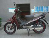 Air-Cooled 110cc/125cc/135cc Cub Motorcycle