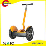 Most Popular 2 Wheel Self Balancing Electric Scooter