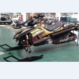 EPA 350cc Snowmobile Watercooled, Twin Cycliner, Efi Snowsccoter, ATV, Dune Buggy,
