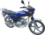 Motorcycle (GW100-B)