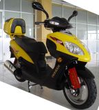Motorcycle With Eec (125T-10 With Eec)