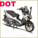 DOT Scooter (DOT150T-17)
