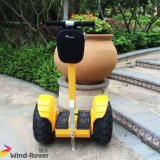 CE Big Wheel Electric Vehicle Power Mobility Scooter