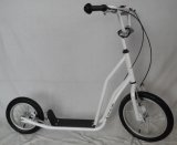 Kick Scooter / Foot Scooter (H1612)