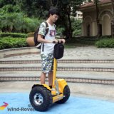 2 Wheel Electric Standing Motor Scooter