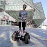 Wind Rover China Manufacturer Electric Scooter