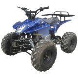 110CC Quad ATV for Kids (LZ(110-6))