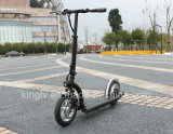 300W Electric Motor Scooter for Adult
