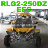 Beach Buggy EEC (RLG2-250DZ)