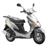 Professional Supplier of Popular Scooter (SP50QT-1)