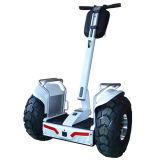 Smart Balance Scooter, Two Wheels Stand Scooter, Electric Chariot Scooter