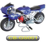 Gasoline Scooter (CB-GS001)