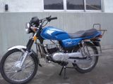 Motorcycle (TVS100)