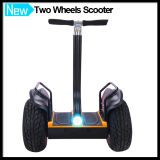 Popular Self Balance Electric Scooter with Adjustable Handlebar