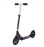 Cheap Special Kick Scooters (SC-025)