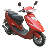 Gy6 50CC/80CC Scooter Complete Parts