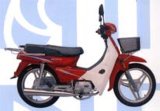 Motorcycle AJD100-8