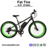 4.0+ Snow Bike Fat Tire Electric Mobility Scooter (PE-TDE12Z)
