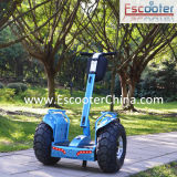China Factory Electric Vehicle Electric Scooter