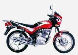 Motorcycle DJ115-5/150-5