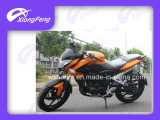 Racing Motorcycle, Sport Motorcycle, Motocicleta
