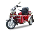 Gasoline Disability Scooter with 110cc (DTR-2)