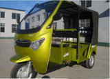 Tu Tu Tax Electric Rickshaw with 1000W Motor 60V140ah Storage Battery