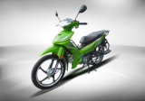 110cc Mini Motorcycle Motorbikes (HD110-6L)