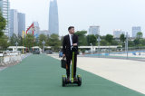 New Model 14 Inch Electric Big Self-Balancing Scooter