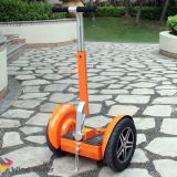 2 Wheel Standing Electric Scooter From China
