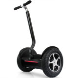 Two Wheel Self Balancing Stadning Electric Scooter