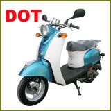 DOT Scooter (DOT50QT-8)