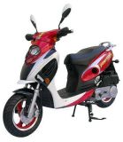 EEC / COC Approved 50cc / 125cc  Scooter / Motorcycle (FM50E-5)