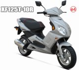 Scooter (XF125T-10R) 