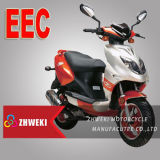 Eec Motor Scooter (ZW50QT-7D)